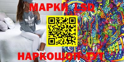 mdpv Новодвинск