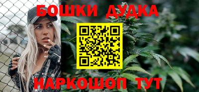 mdpv Новодвинск